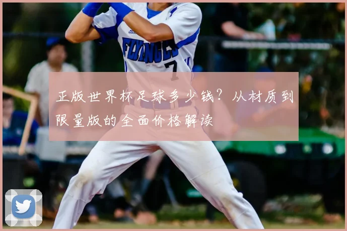 正版世界杯足球多少钱？从材质到限量版的全面价格解读