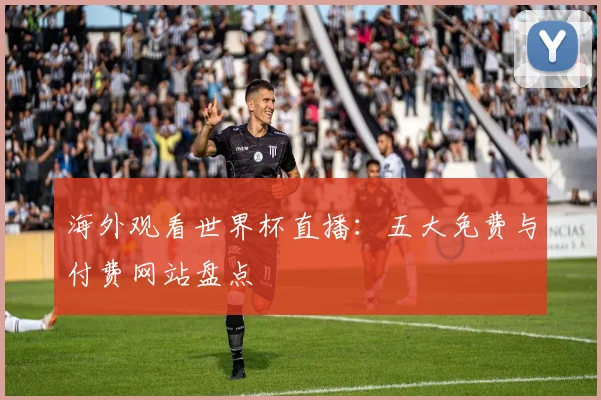 海外观看世界杯直播:五大免费与付费网站盘点
